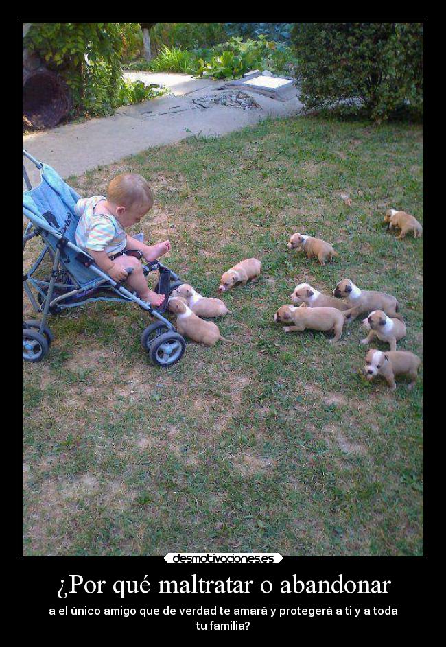 ¿Por qué maltratar o abandonar - a el único amigo que de verdad te amará y protegerá a ti y a toda
tu familia?