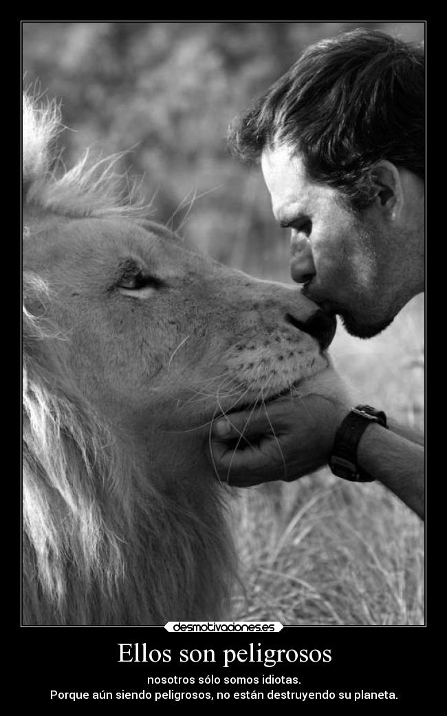 Ellos son peligrosos - nosotros sólo somos idiotas.
Porque aún siendo peligrosos, no están destruyendo su planeta.