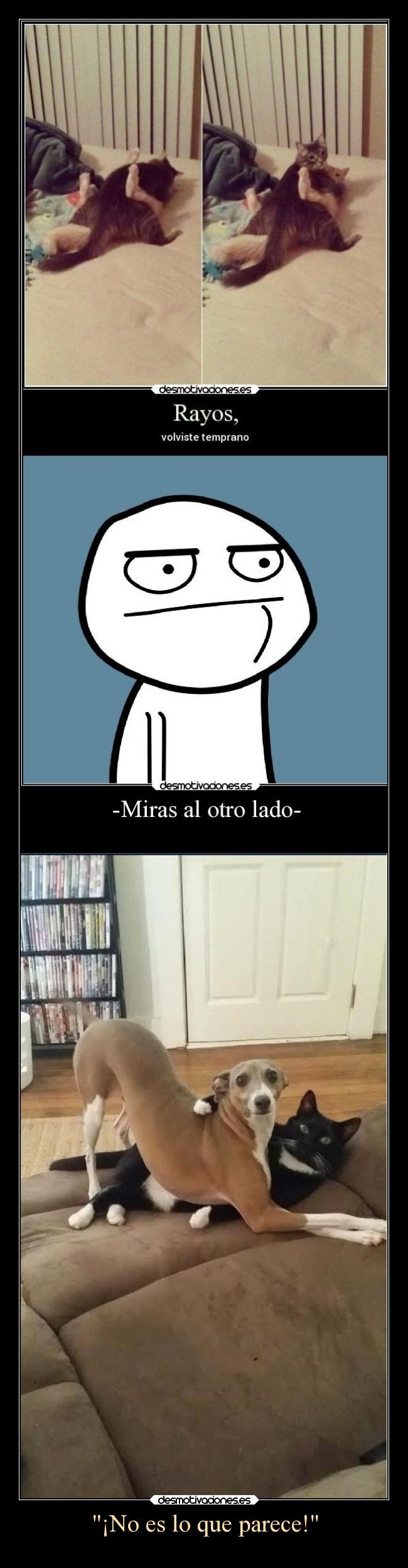 ¡No es lo que parece! - 