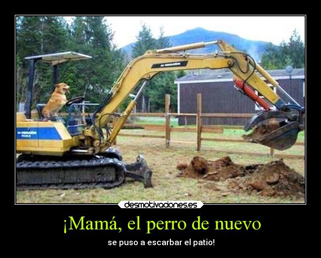 ¡Mamá, el perro de nuevo -