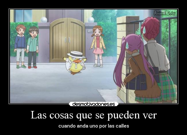 Las cosas que se pueden ver - 