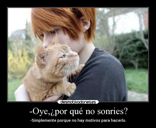 carteles anime desmotivaciones