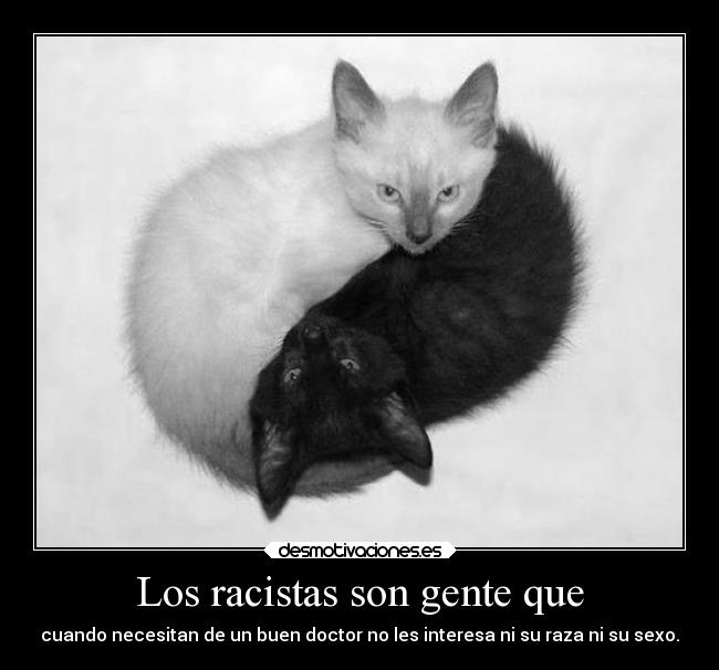 Los racistas son gente que - 