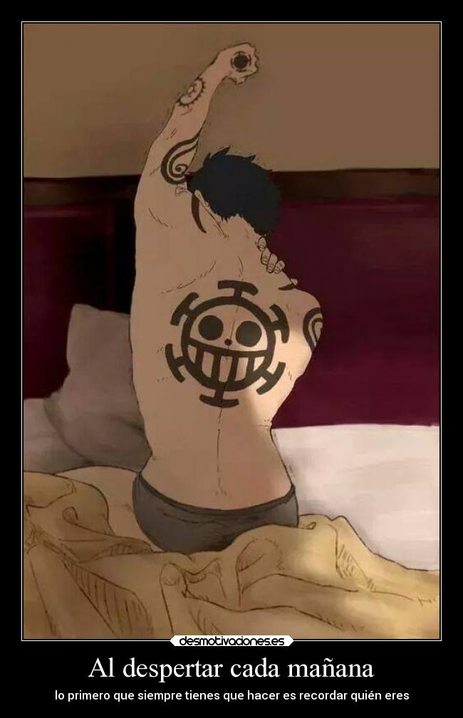 carteles anime incluso antes del desayuno tixo trafalgar law desmotivaciones