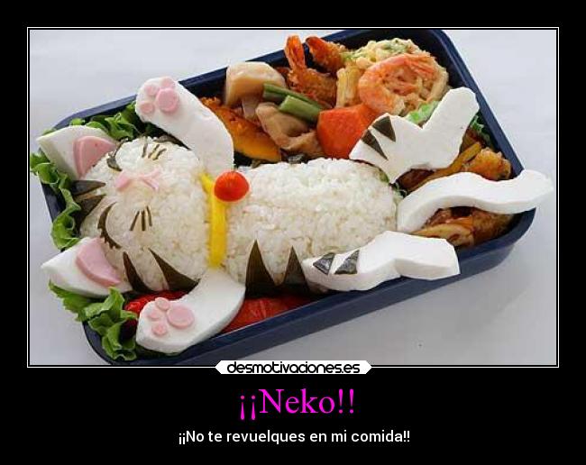 ¡¡Neko!! - ¡¡No te revuelques en mi comida!!