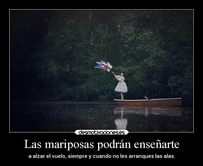 Las mariposas podrán enseñarte - a alzar el vuelo, siempre y cuando no les arranques las alas.