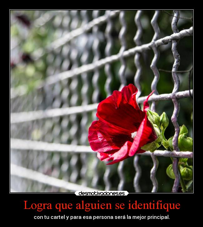 Logra que alguien se identifique - con tu cartel y para esa persona será la mejor principal.