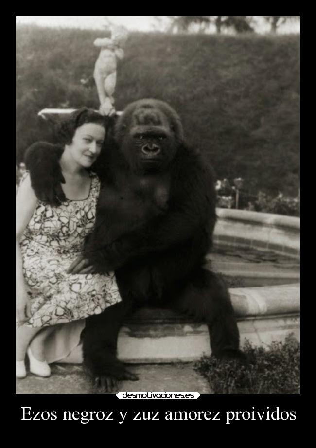 Ezos negroz y zuz amorez proividos - 