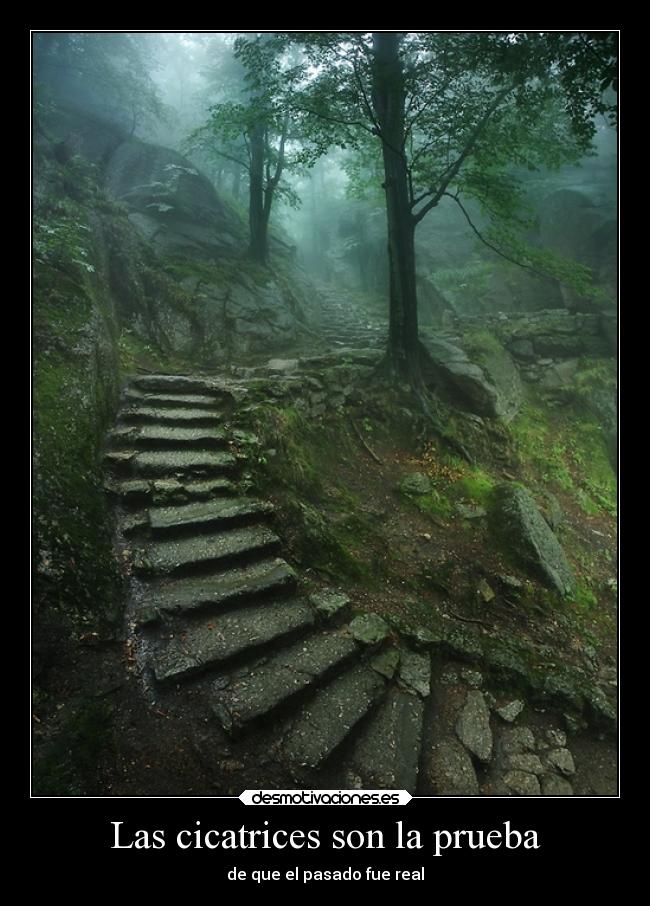 Las cicatrices son la prueba - de que el pasado fue real