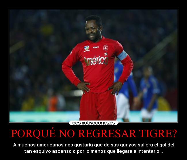 PORQUÉ NO REGRESAR TIGRE? - A muchos americanos nos gustaría que de sus guayos saliera el gol del
tan esquivo ascenso o por lo menos que llegara a intentarlo...