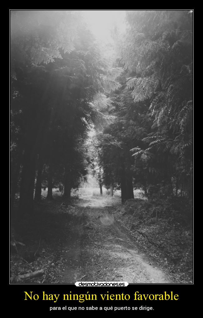 No hay ningún viento favorable - 