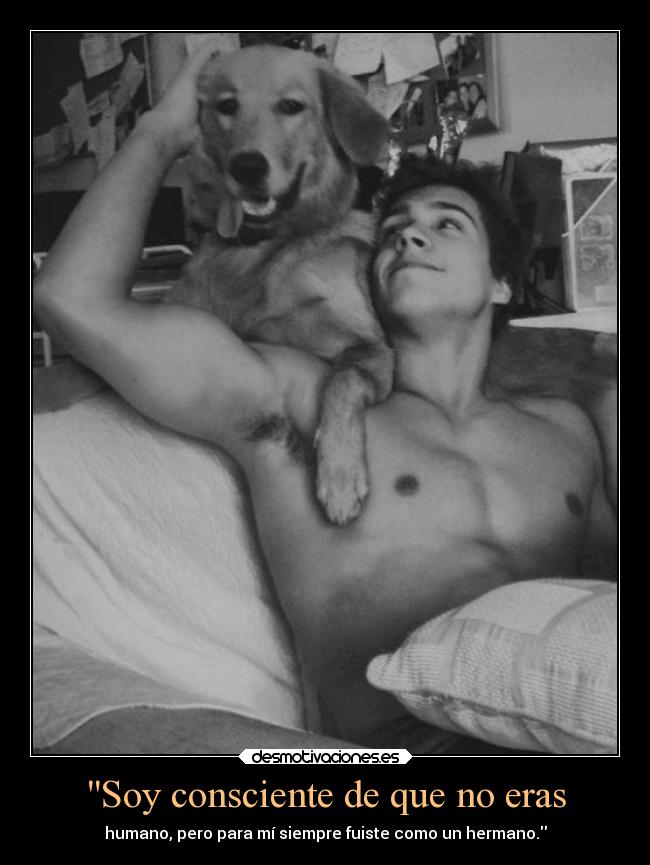 Soy consciente de que no eras - humano, pero para mí siempre fuiste como un hermano.
