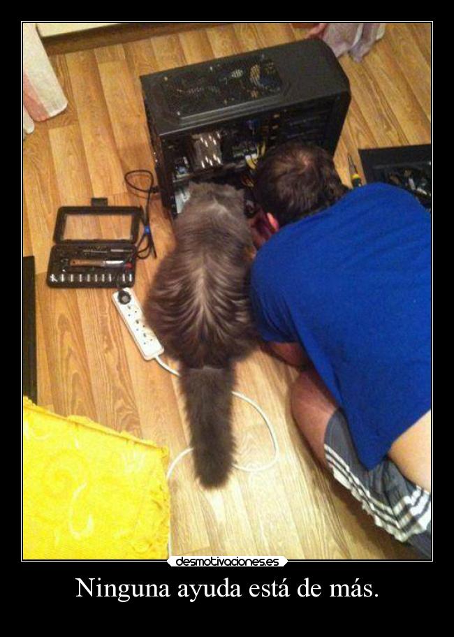 Ninguna ayuda está de más. - 