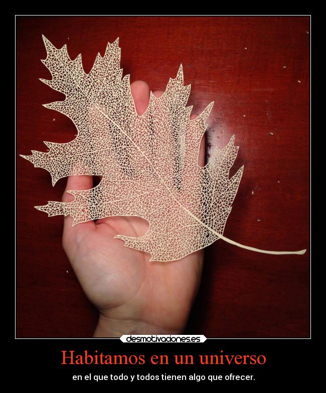 Habitamos en un universo -