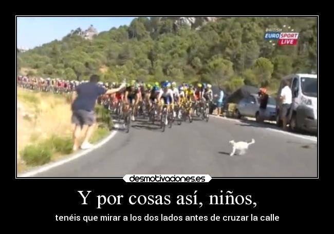 carteles bogota humor eften mouser desmotivaciones