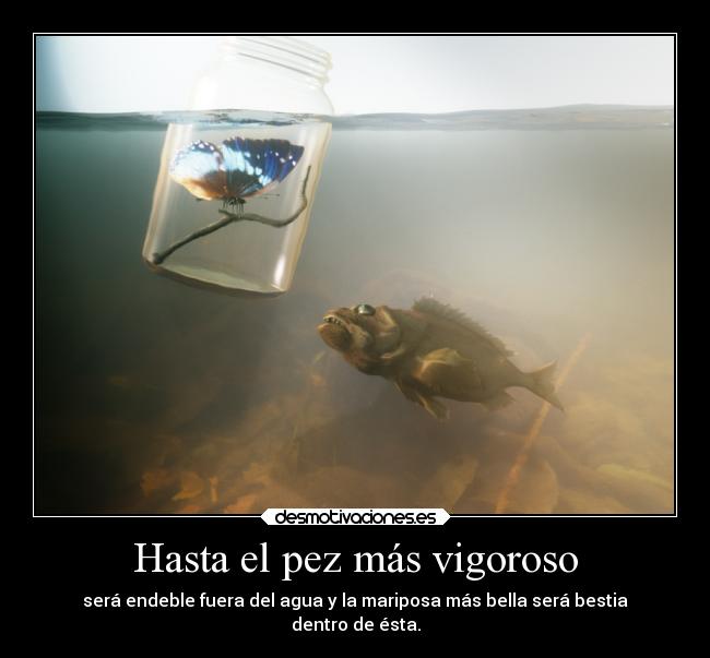 Hasta el pez más vigoroso - será endeble fuera del agua y la mariposa más bella será bestia
dentro de ésta.