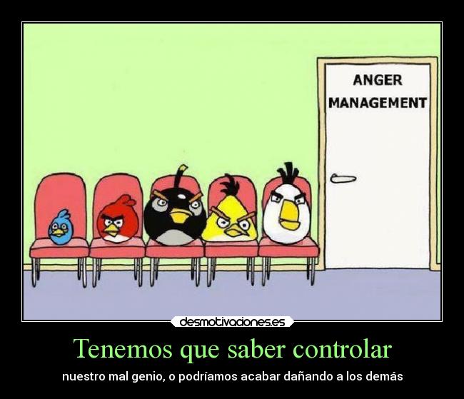 carteles chiste angrybirds angrymanagement angry santalucia desmotivaciones