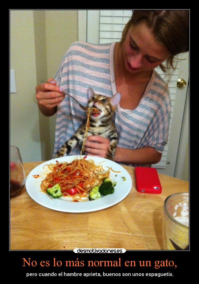 No es lo más normal en un gato, -