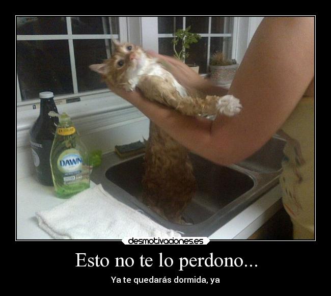 Esto no te lo perdono... - 