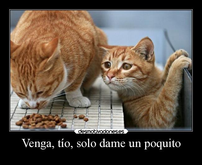 Venga, tío, solo dame un poquito - 