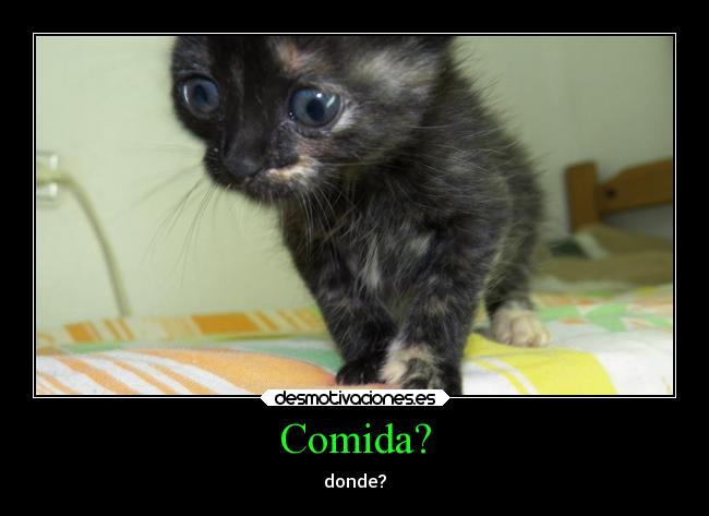 Comida? - donde?