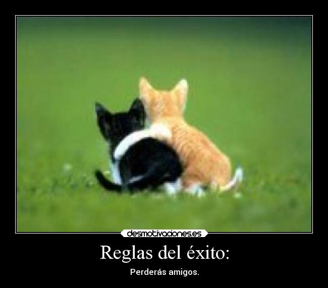 Reglas del éxito: - Perderás amigos.