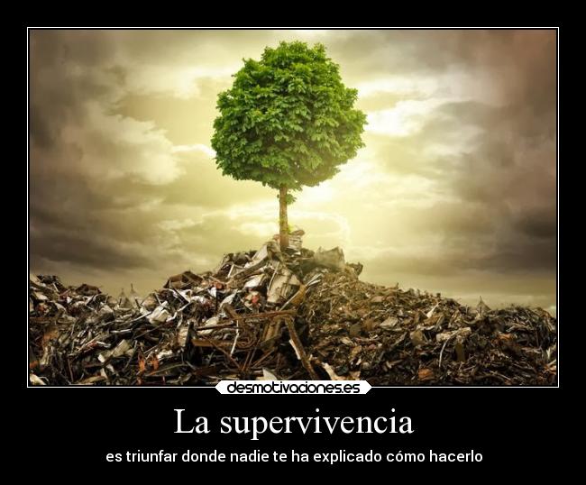 carteles confianza desmotivaciones