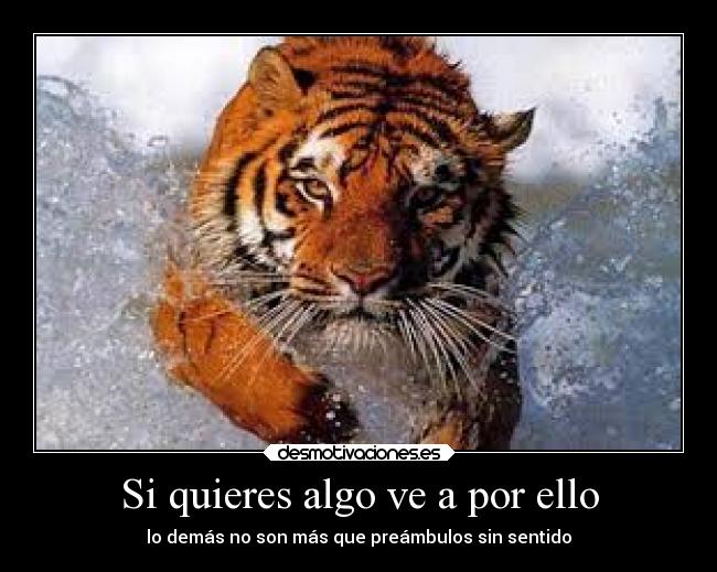 Si quieres algo ve a por ello - lo demás no son más que preámbulos sin sentido