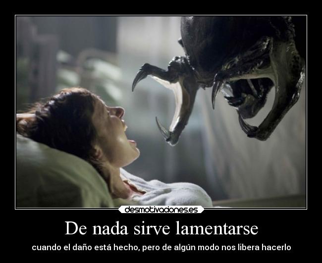 De nada sirve lamentarse - cuando el daño está hecho, pero de algún modo nos libera hacerlo