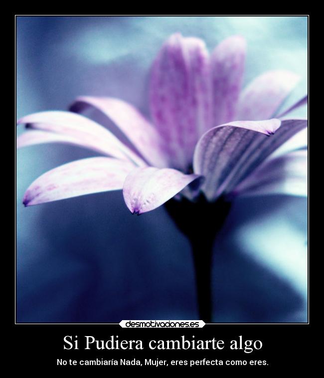 Si Pudiera cambiarte algo - No te cambiaría Nada, Mujer, eres perfecta como eres.