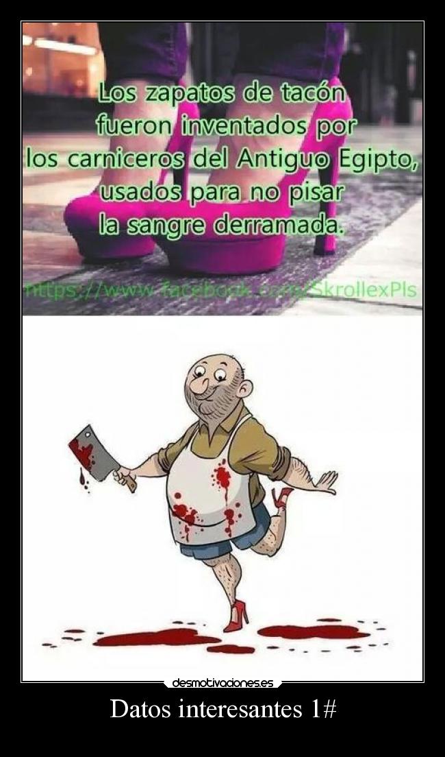 Datos interesantes 1# -