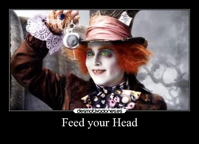 Feed your Head -