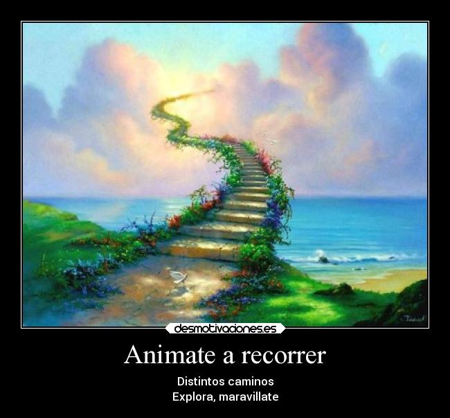 Animate a recorrer - Distintos caminos
Explora, maravillate
