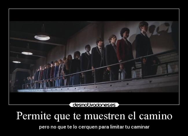 Permite que te muestren el camino - pero no que te lo cerquen para limitar tu caminar