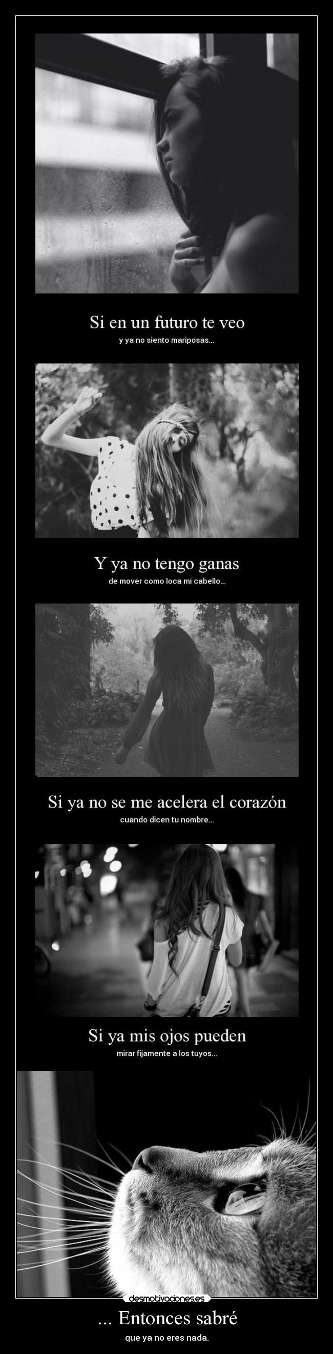 carteles corazon amor dolor noeresnada decepcion superar dannaconsentida desmotivaciones