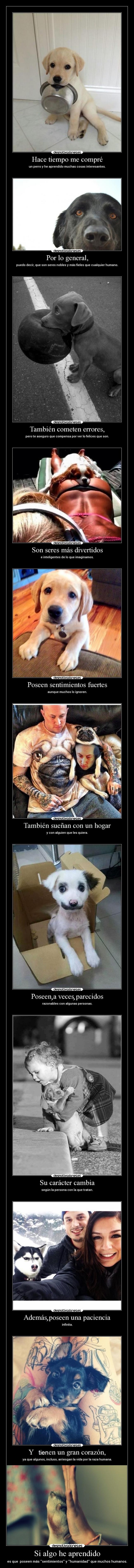 carteles corazon confianza animales alma desmotivaciones