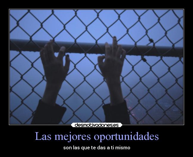 Las mejores oportunidades -