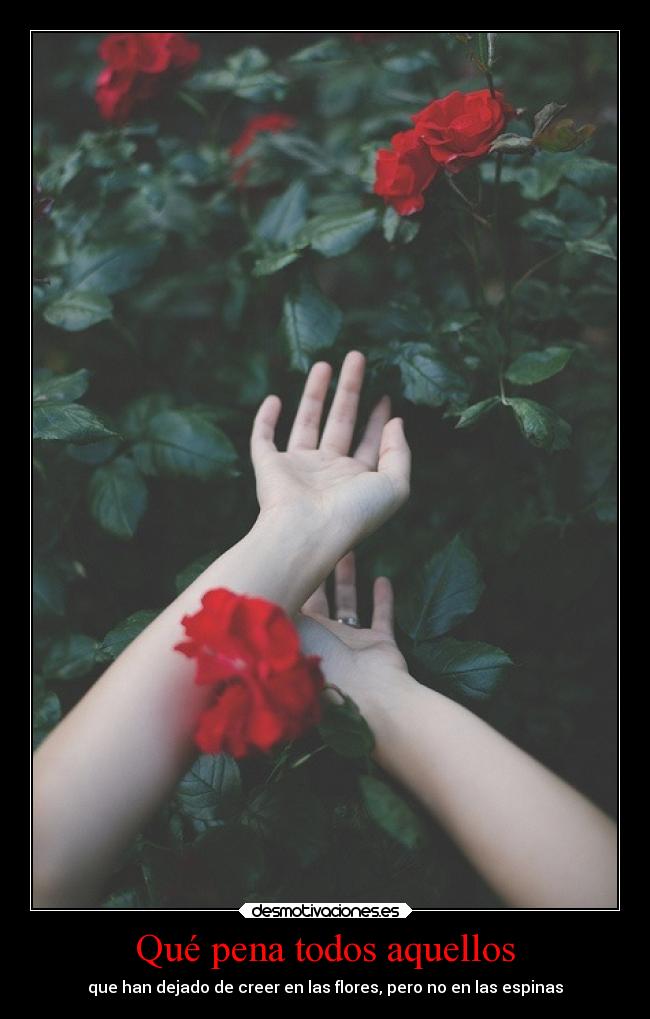 Qué pena todos aquellos - 