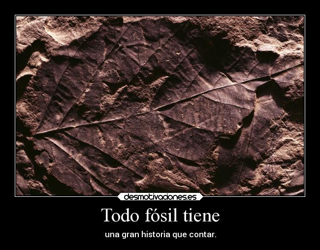 Todo fósil tiene - una gran historia que contar.