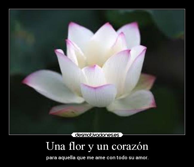 Una flor y un corazón - para aquella que me ame con todo su amor.