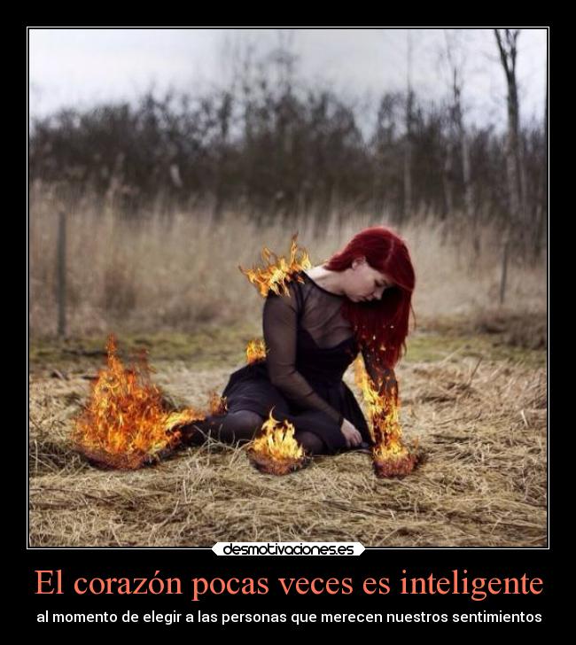 El corazón pocas veces es inteligente - al momento de elegir a las personas que merecen nuestros sentimientos