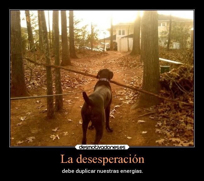 La desesperación - 