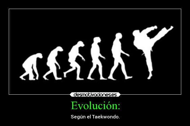 Evolución: - Según el Taekwondo.