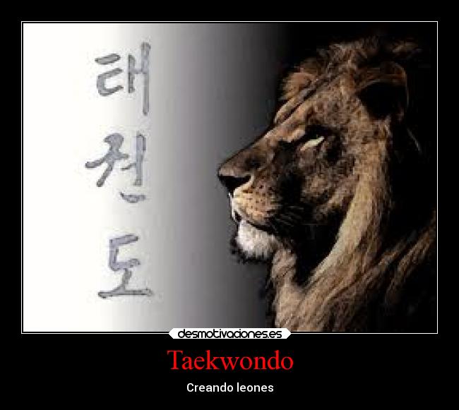 Taekwondo - Creando leones