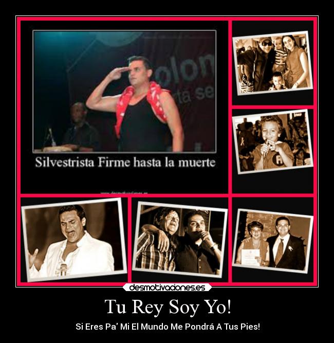 carteles desamor desmotivaciones