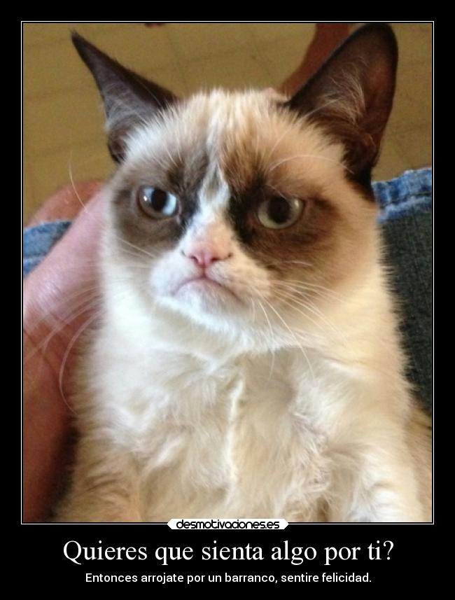 carteles deseos ira furia gato enojado meme knuckle89 desmotivaciones