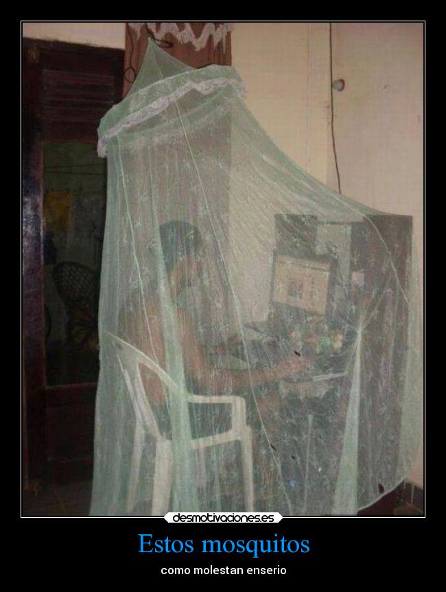 Estos mosquitos - como molestan enserio