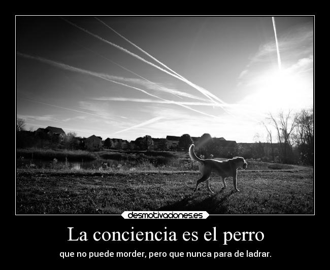 carteles desmotivaciones conciencia provervios desmotivaciones