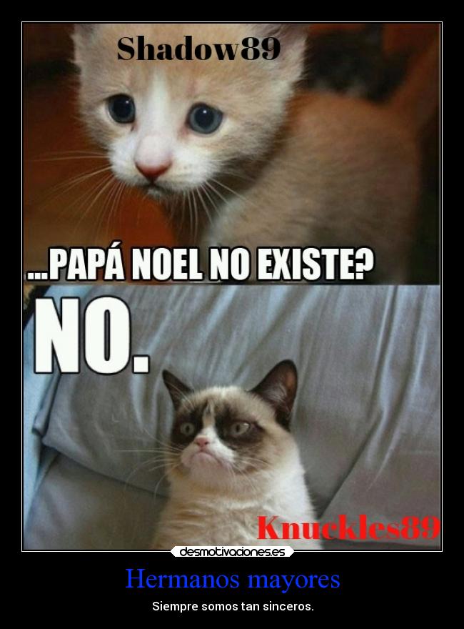 carteles desmotivaciones confianza gatos hermanos realidad gato enojado shadow89 knuckles89 desmotivaciones