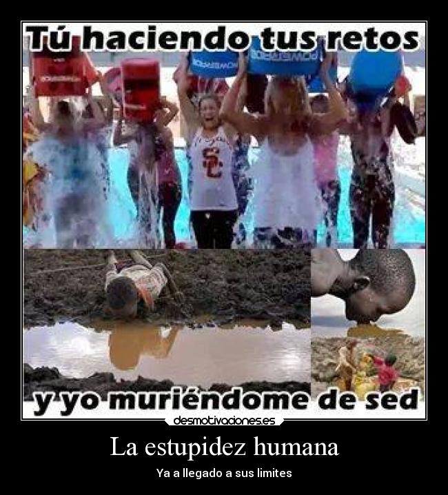 La estupidez humana -